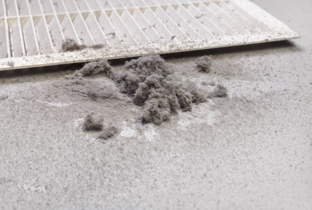 Best Affordable Duct Cleaning Services  in Aledo, TX